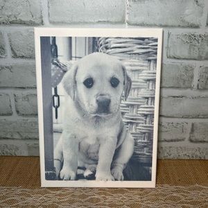Black and white Labrador retriever puppy canvas